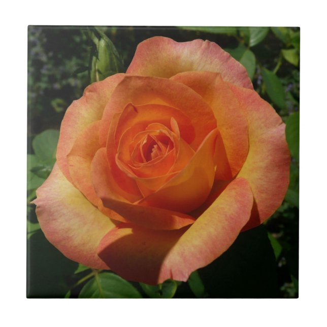 Peach Ro Orange Floral Photography Kakelplatta (Framsidan)