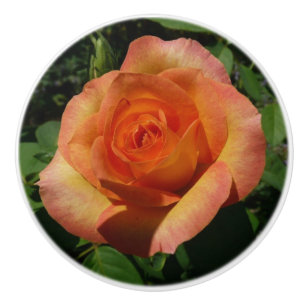 Peach Ro Orange Floral Photography Knopp