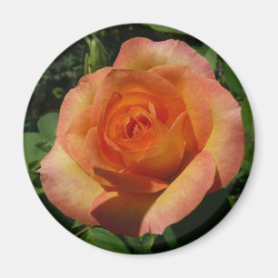 Peach Ro Orange Floral Photography Magnet