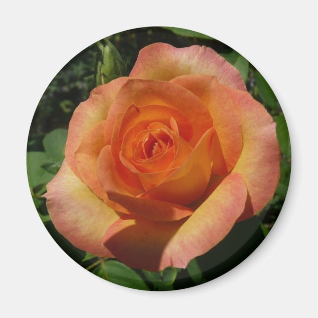 Peach Ro Orange Floral Photography Magnet (Framsidan)