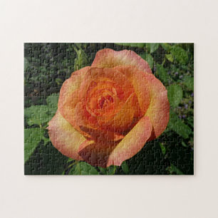 Peach Ro Orange Floral Photography Pussel