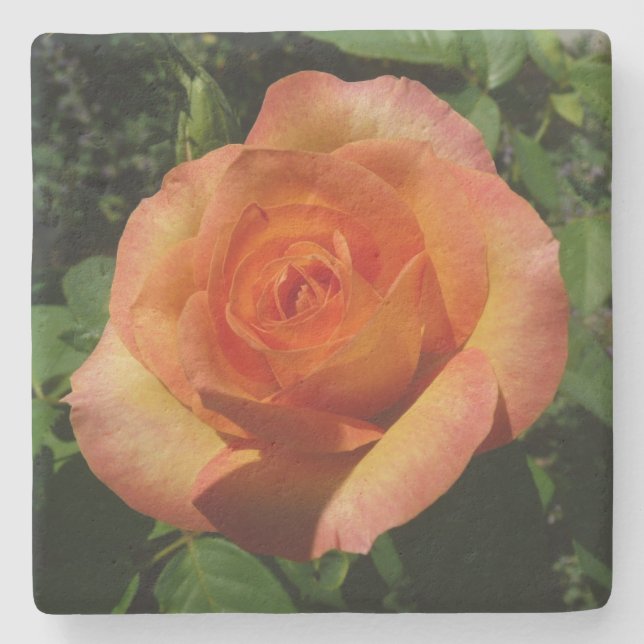 Peach Ro Orange Floral Photography Underlägg Sten (Framsidan)