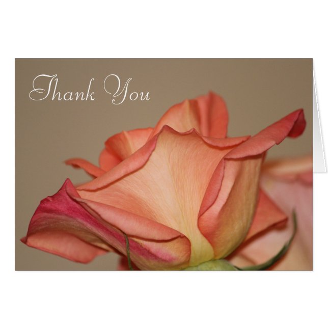 Peach Ro Snyggt Card Hälsningskort (Framsidan Horizontal)