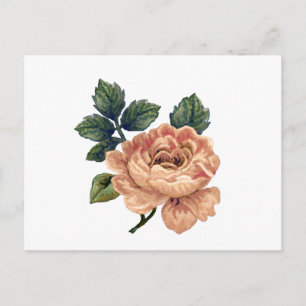 Peach Ro - Vintage Makover. Vykort