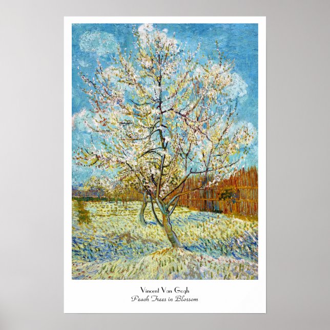 Peach Träd i Blommar Vincent Van Gogh Poster (Framsidan)