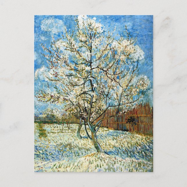 Peach Träd i Blommar Vincent Van Gogh Vykort (Framsida)