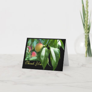 Peach Träd Tack Kort