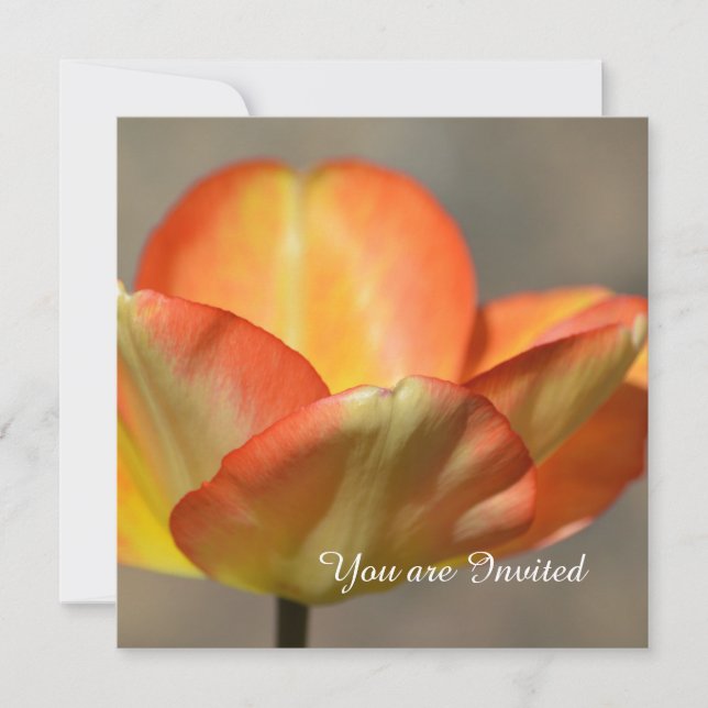 Peach Tulip Flower Birthday Inbjudningar (Framsida)