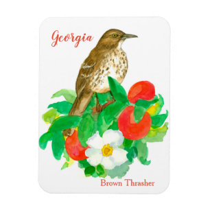 Peacher Cherokee Ro Bird Watercolor Magnet