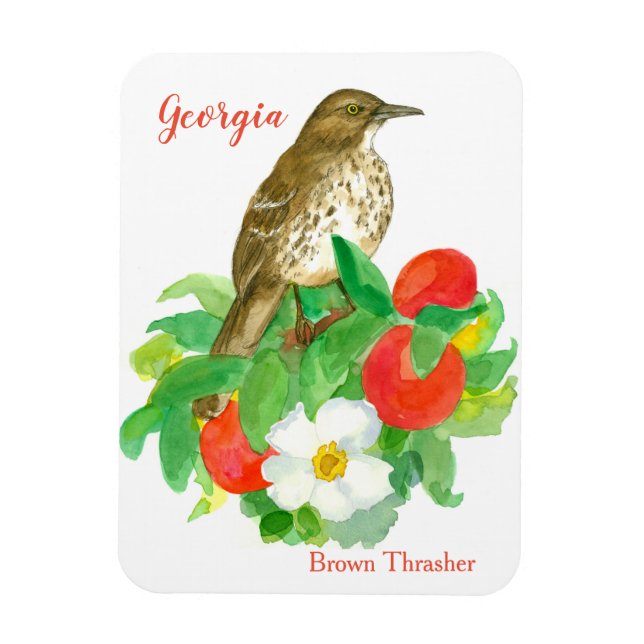 Peacher Cherokee Ro Bird Watercolor Magnet (Vertikal)