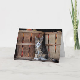 Peacher Kitten Lycklig Mors dag Kort