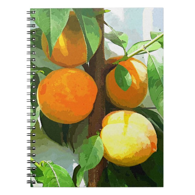 PEACHES ANTECKNINGSBOK (Framsidan)