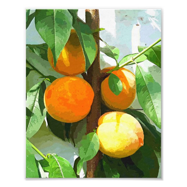 PEACHES FOTOTRYCK (Framsidan)