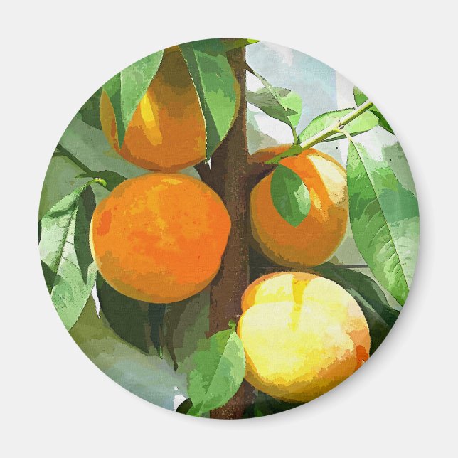 PEACHES MAGNET (Framsidan)