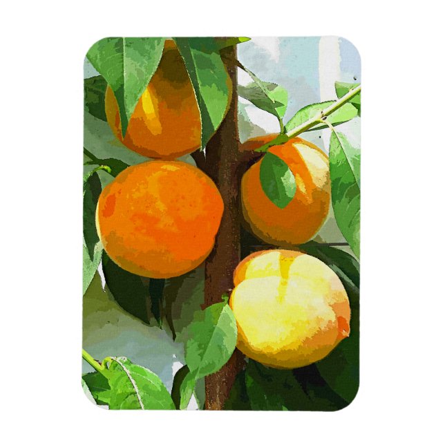 PEACHES MAGNET (Vertikal)