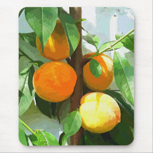 PEACHES MUSMATTA