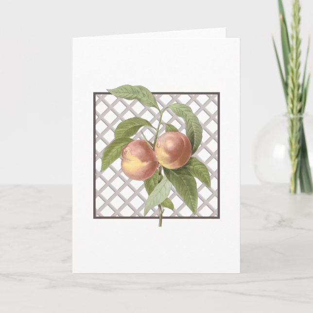 PEACHES TACK KORT (Framsida)