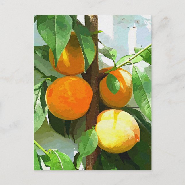 PEACHES VYKORT (Framsida)