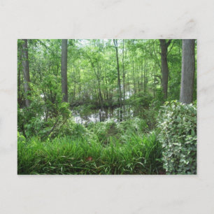 ’PEACHTREE CITY, GA’ VYKORT