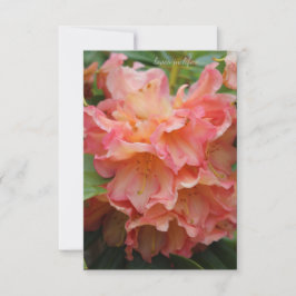 Peachy Färgad Rhododendron Anteckningskort