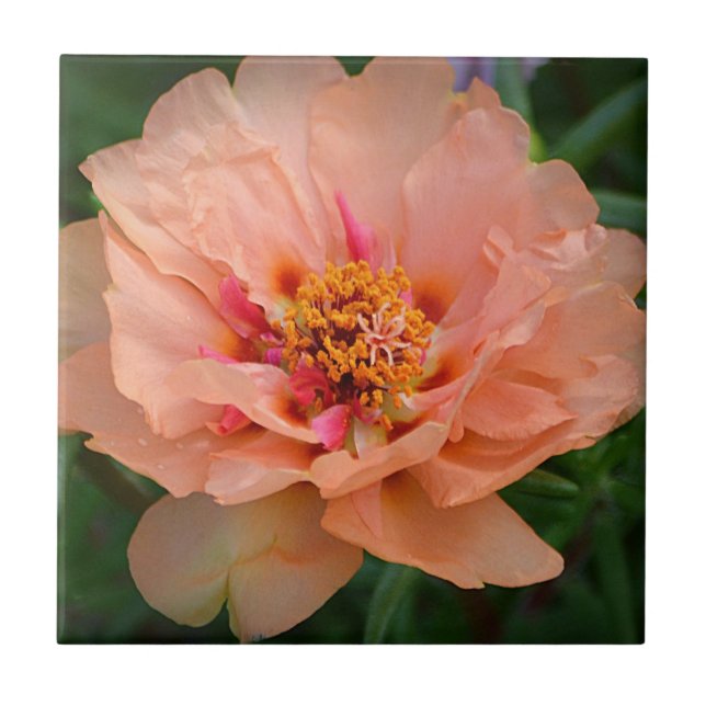 Peachy Flower Tile Kakelplatta (Framsidan)