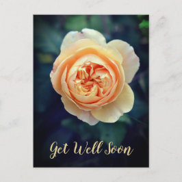 Peachy Orange Garden Ro Flower kommer snart Helg Vykort