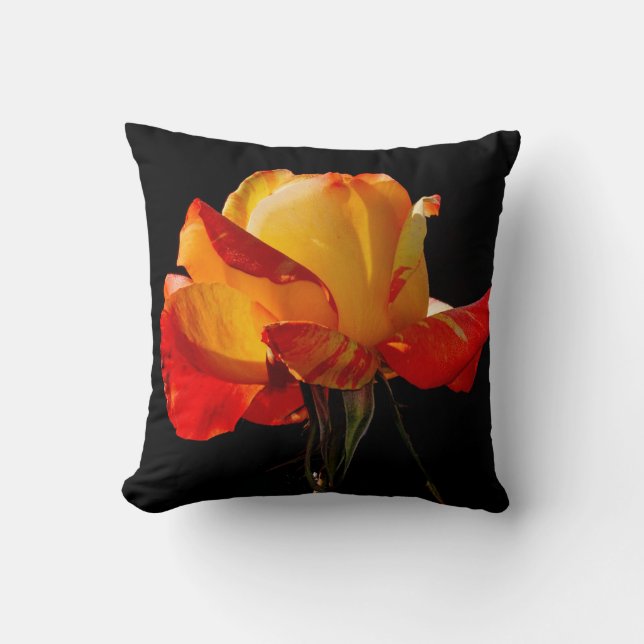 Peachy Orange Ro Kudde (Framsida)