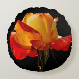 Peachy Orange Ro Rund Kudde