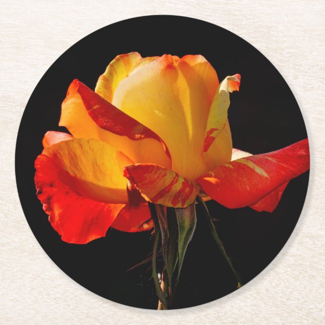 Peachy Orange Ro Underlägg Papper Rund (Framsidan)