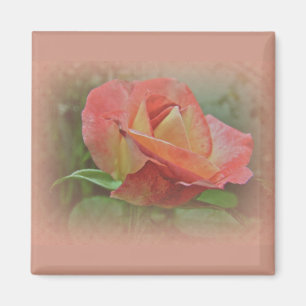 Peachy Ro Blommar Magnet