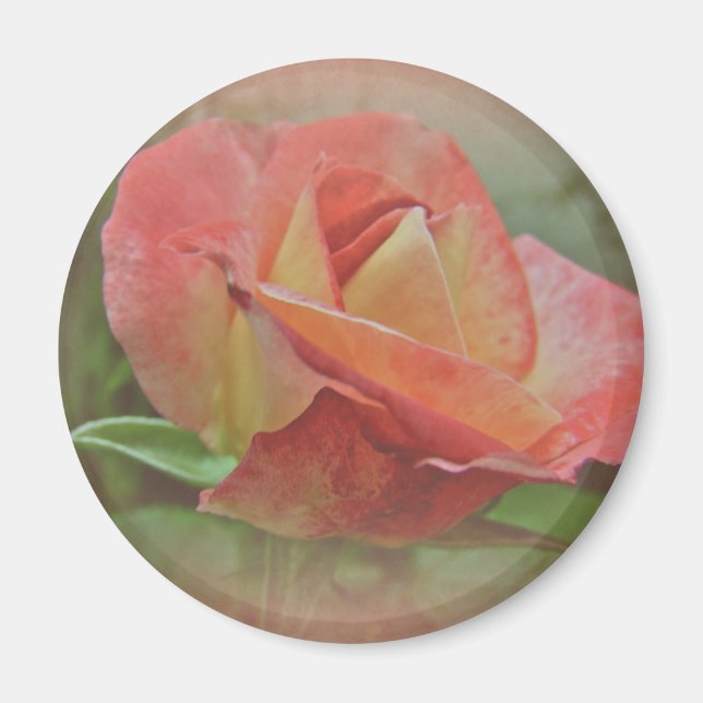 Peachy Ro Blommar Magnet (Framsidan)
