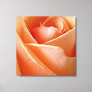 Peachy Ro Canvastryck