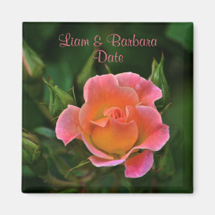 Peachy Rosa Bröllop Ro Magnet