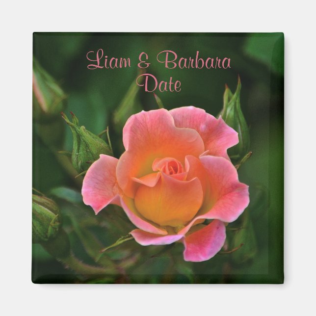 Peachy Rosa Bröllop Ro Magnet (Framsidan)