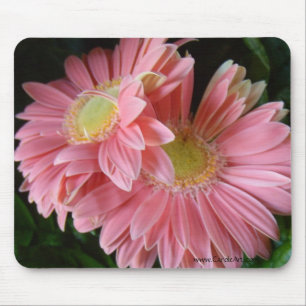 Peachy rosa daisy Mousepad Musmatta