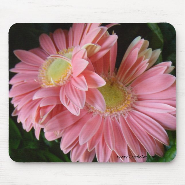 Peachy rosa daisy Mousepad Musmatta (Framsidan)