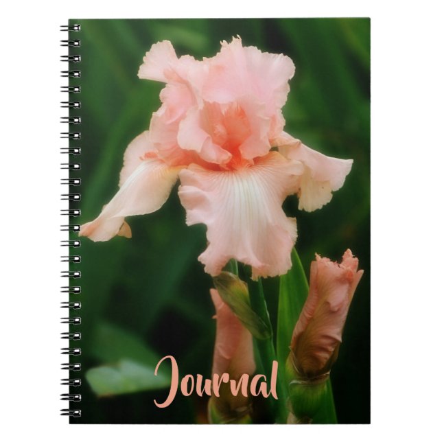 Peachy Rosa Iris Flower Art Personal Journal Anteckningsbok (Framsidan)