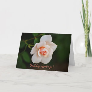 Peachy Rosa Little Ro Flower Birday Card Kort