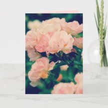 Peachy Rosa ros valfritt Tillfälle-hälsningskort