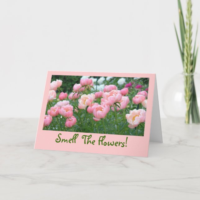 PEACHY-ROSA, ROSA OCH VITPEONIER KORT (Framsida)