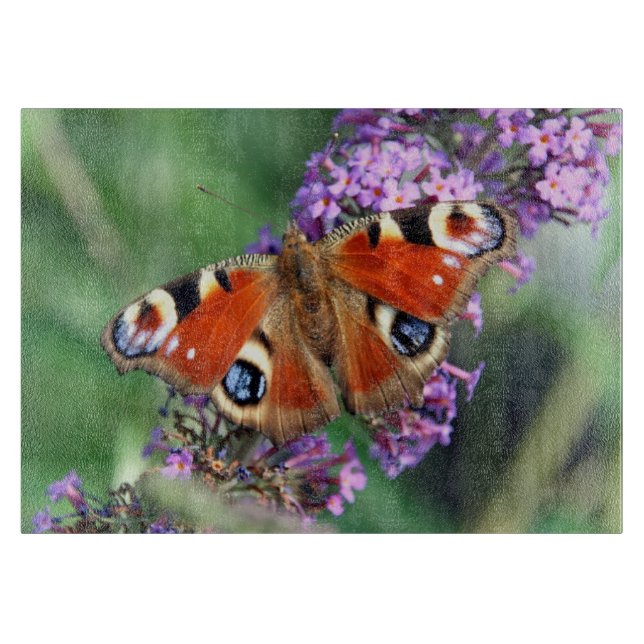 Peackock Butterfly Decorative Glass Caking board (Framsidan)