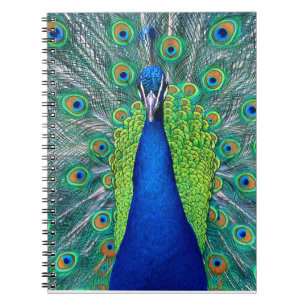 Peacock#1 Anteckningsbok Med Spiral