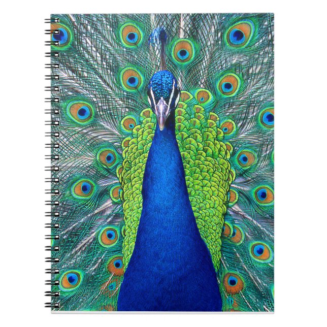 Peacock#1 Anteckningsbok Med Spiral (Framsidan)