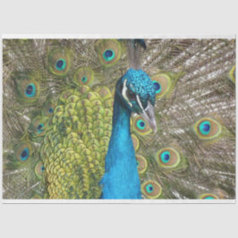Peacock 1 Wall Art Decoupage-papper