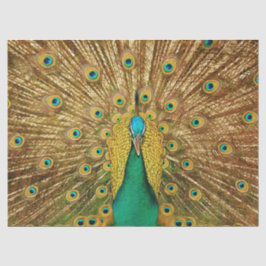 Peacock 2 Wall Art Decoupage-papper