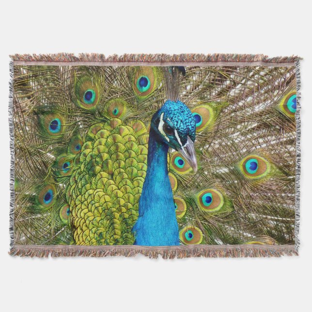 Peacock 3 Ththadig Blanket Mysfilt (Framsidan)