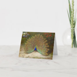 Peacock and Peacock Butterfly, Art Illustration Kort