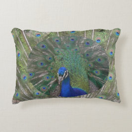 Peacock Ansikte med fjädrar, accent Pillow Prydnadskudde