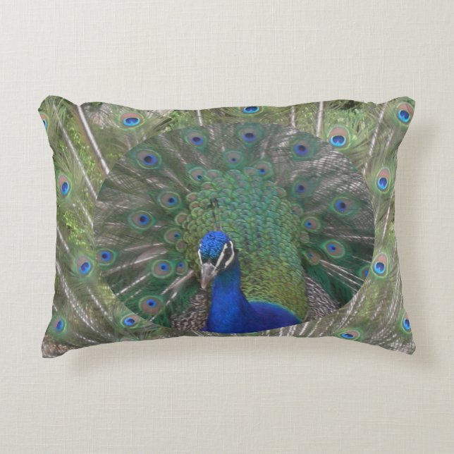 Peacock Ansikte med fjädrar, accent Pillow Prydnadskudde (Framsidan)