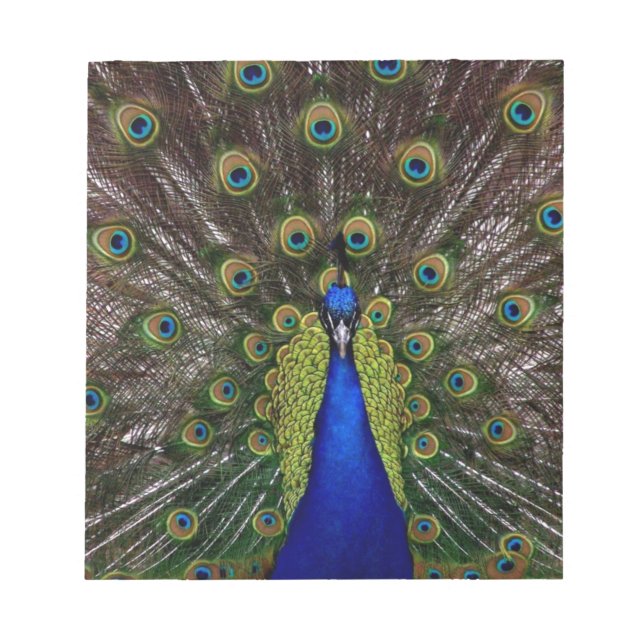Peacock Anteckningsblock (Framsida)